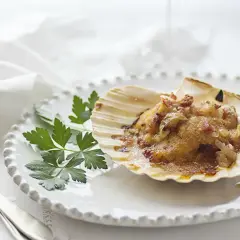 Vieiras a la gallega, gratinadas y servidas en su concha, adornadas con perejil fresco sobre un plato blanco.