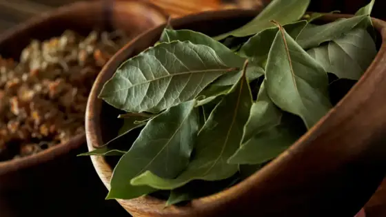 Laurel en la cocina - Úsalo bien y transforma tus platos